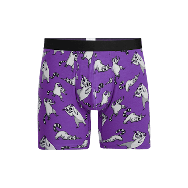 https://meundies.imgix.net/spree/product_slides/mobile_images/000/021/334/original/KUNG_FU_RACCOONS_BOXER_BRIEF_0354_MB.png?w=373.3&h=422&fit=crop&auto=format