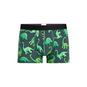 Land of Dinosaur Hipster Underwear – moJJa