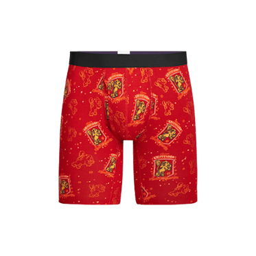 Harry Potter Boys' Underwear Multipacks with Assorted Prints