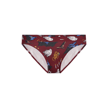 Magical Harry Potter Panties for Enchanting Moments