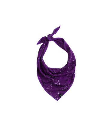 BuddyBands™ BuddyBands™ in Capricorn