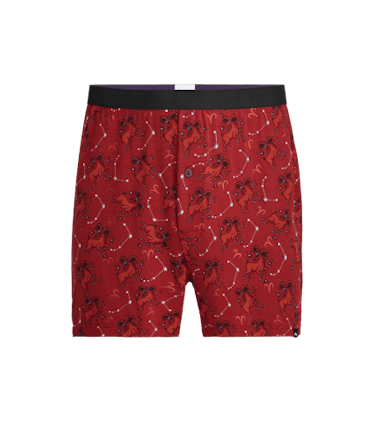 Boxer Boxer in Aries
