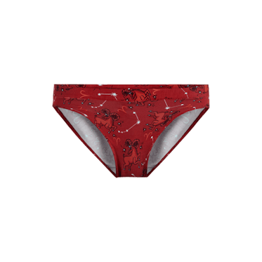 Aries Panties, Aries Underwear, Briefs, Cotton Briefs, Funny Underwear,  Panties for Women -  Denmark