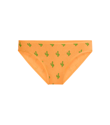 Stretch Cotton Bikini Stretch Cotton Bikini in Saguaro Blossom