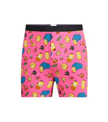 Boxer Boxer in The Simpsons