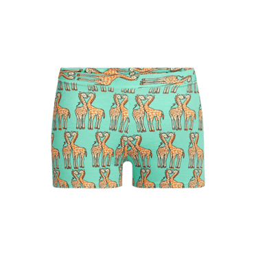 Nonbinary bundle 4-pack, Boyshort underwear