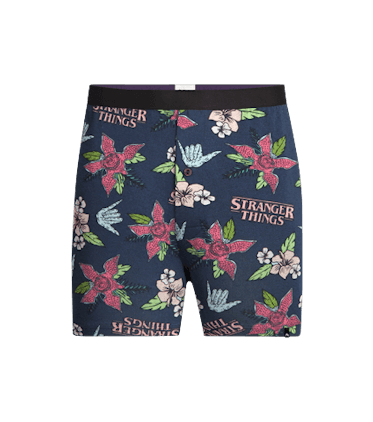 Boxer Boxer in Stranger Things