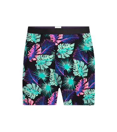 Boxer Boxer in Tropical Boogie