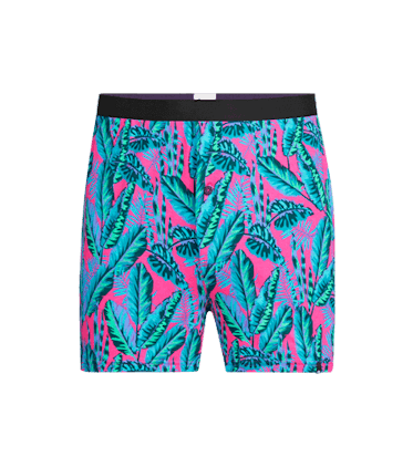 Boxer Boxer in Miami Nights
