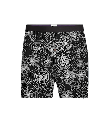 Boxer Boxer in Web Design