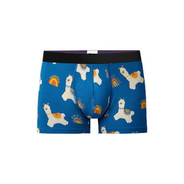 Where To Buy MeUndies Yo Llama Underwear Because They Are Neon AND  Ridiculously Cute — EXCLUSIVE